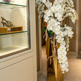 Cascading Phalaenopsis Orchids in Golden Prism Planter