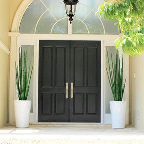 Snake Grass (160 cm) with Belle M Planter