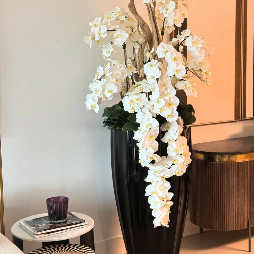 Shiny Black San Jose Vase with Cascading White Orchids