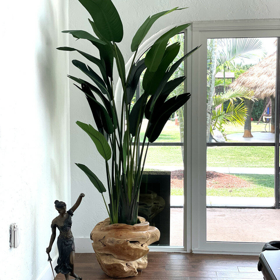 Large Vase Made of Teak Wood with Magnificent Strelitzia (Bird of Paradise)