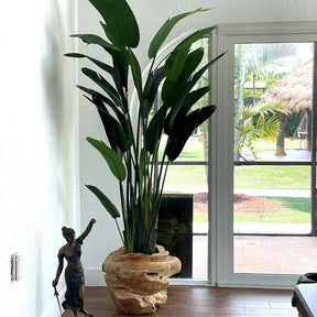 Large Teak Root Vase with Large Bird of Paradise