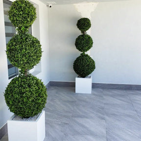 Triple Sphere Topiary with Medium Block Fiberglass Pot