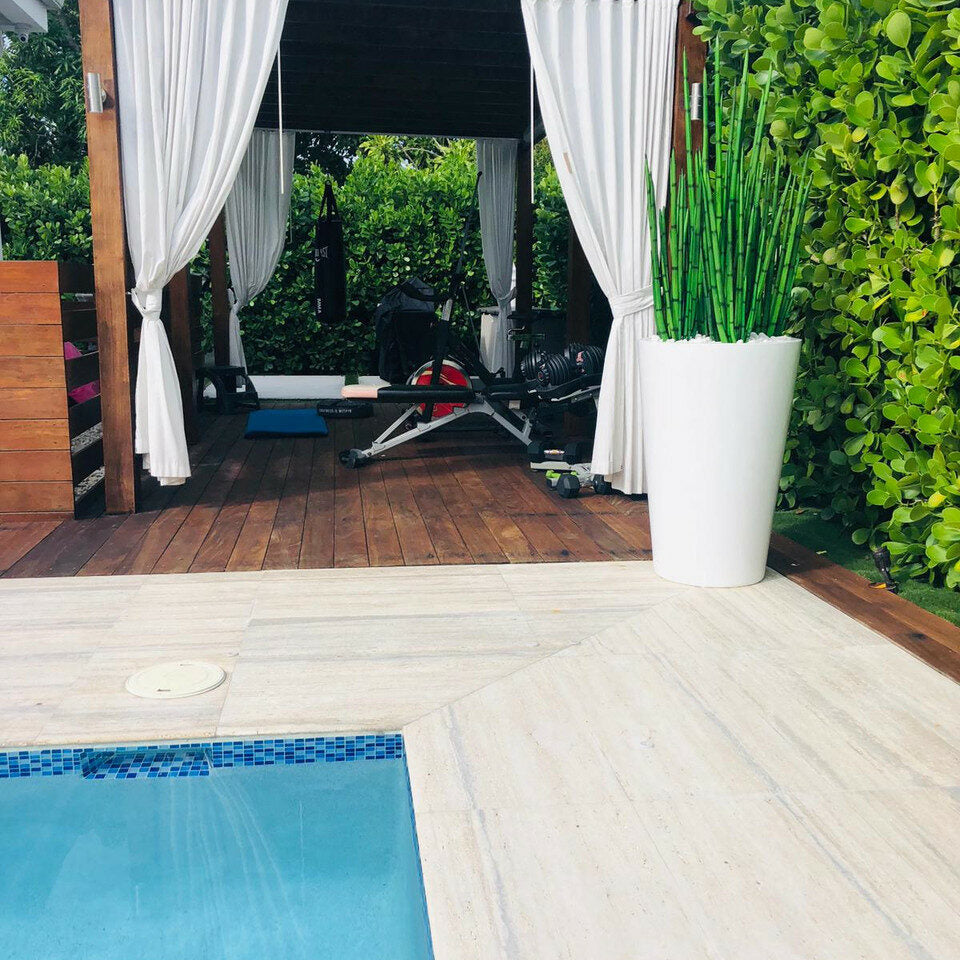 Snake Grass (1.63 m) with Belle L Planter