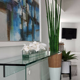 Snake Grass (183 cm) with White Lux Plant Pot