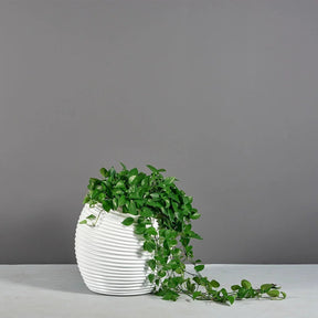 Modern Spiral Globe Planter