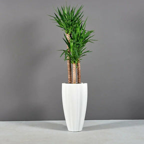 San Jose Ribbed Planter