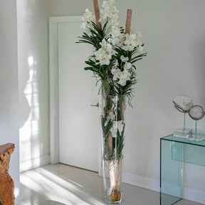 White Vanda Orchids and Driftwood Inside a Large Conical Glass Cylinder