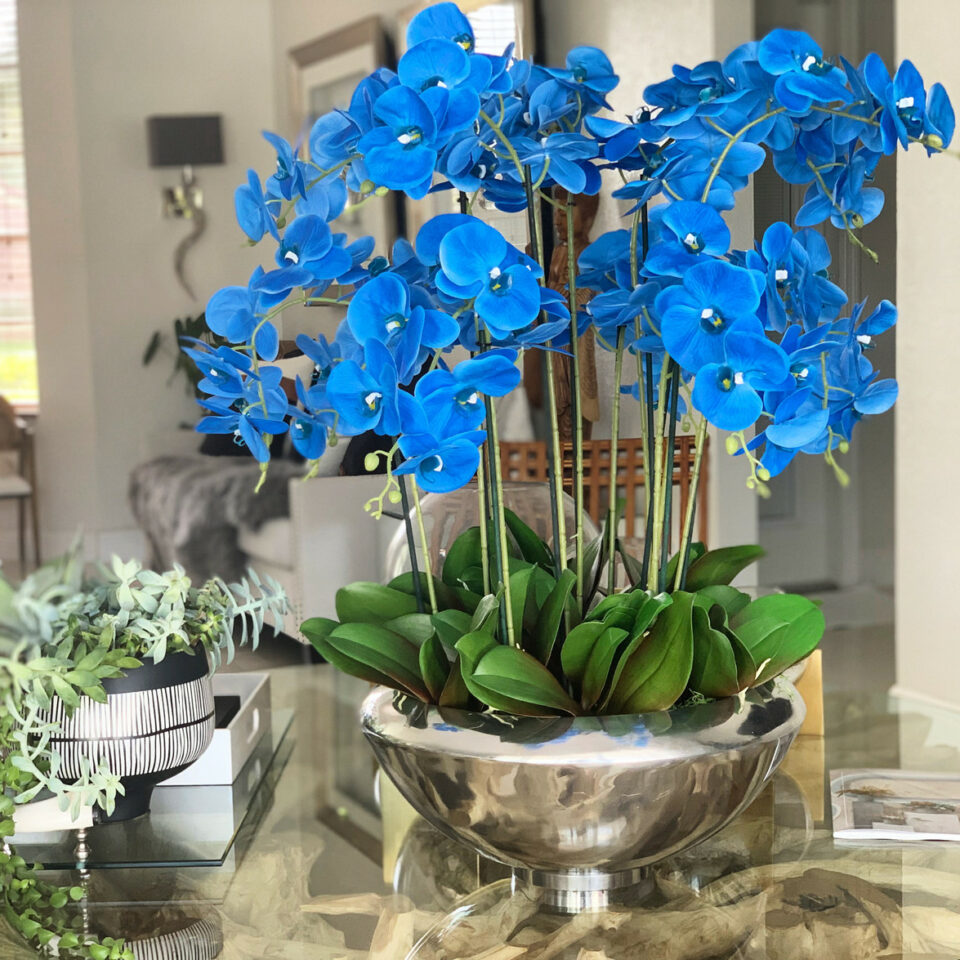 Avenue Bowl with Blue Phalaenopsis Orchids