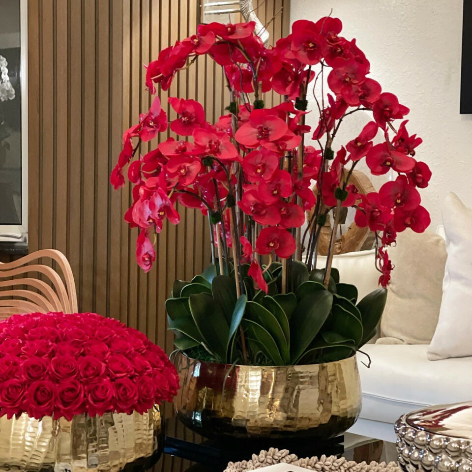 Red Phalaenopsis Orchids in a Medium Gold Pot