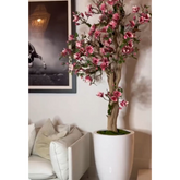 Pink Magnolia Tree in St. Tropez Pot in Radiant White – New Release