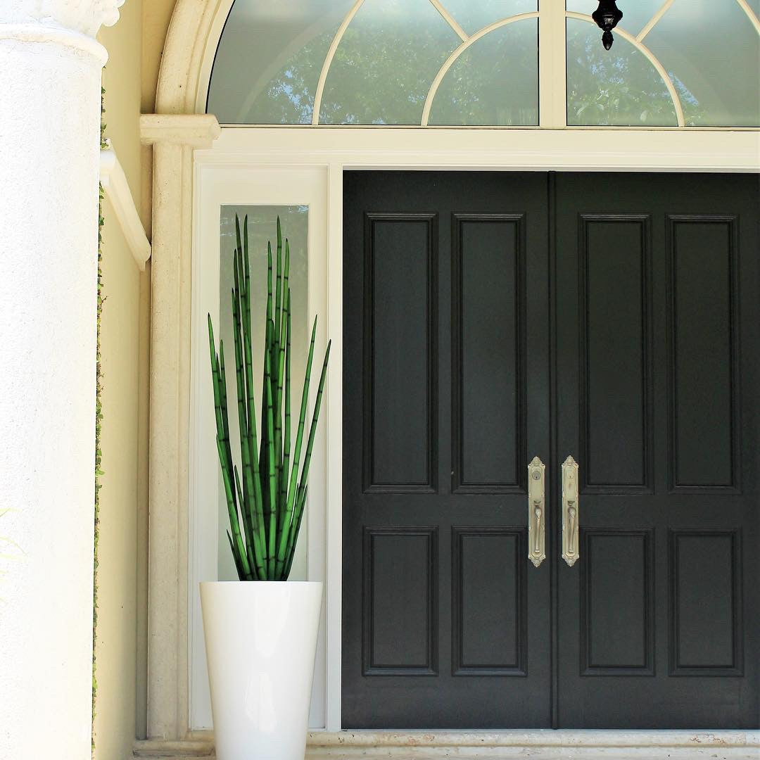 Cobra Grass (63 ″) with Belle M Planter