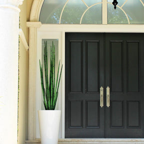 Cobra Grass (63 ″) with Belle M Planter