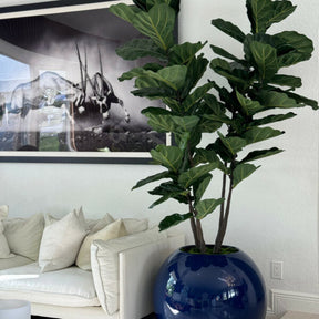 Blue globe vase with fiddle leaf fig
