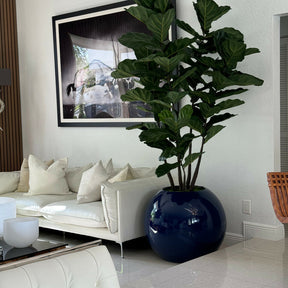 Blue globe vase with fiddle leaf fig