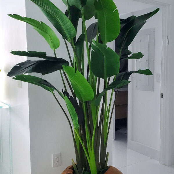 Large Vase Made of Teak Wood with Magnificent Strelitzia (Bird of Paradise)