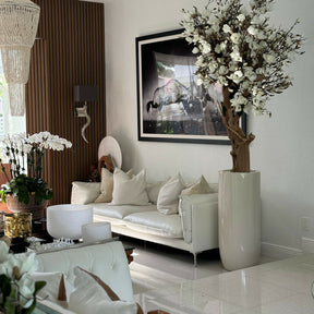 White Magnolia Tree in Pot St. Tropez Bright Beige