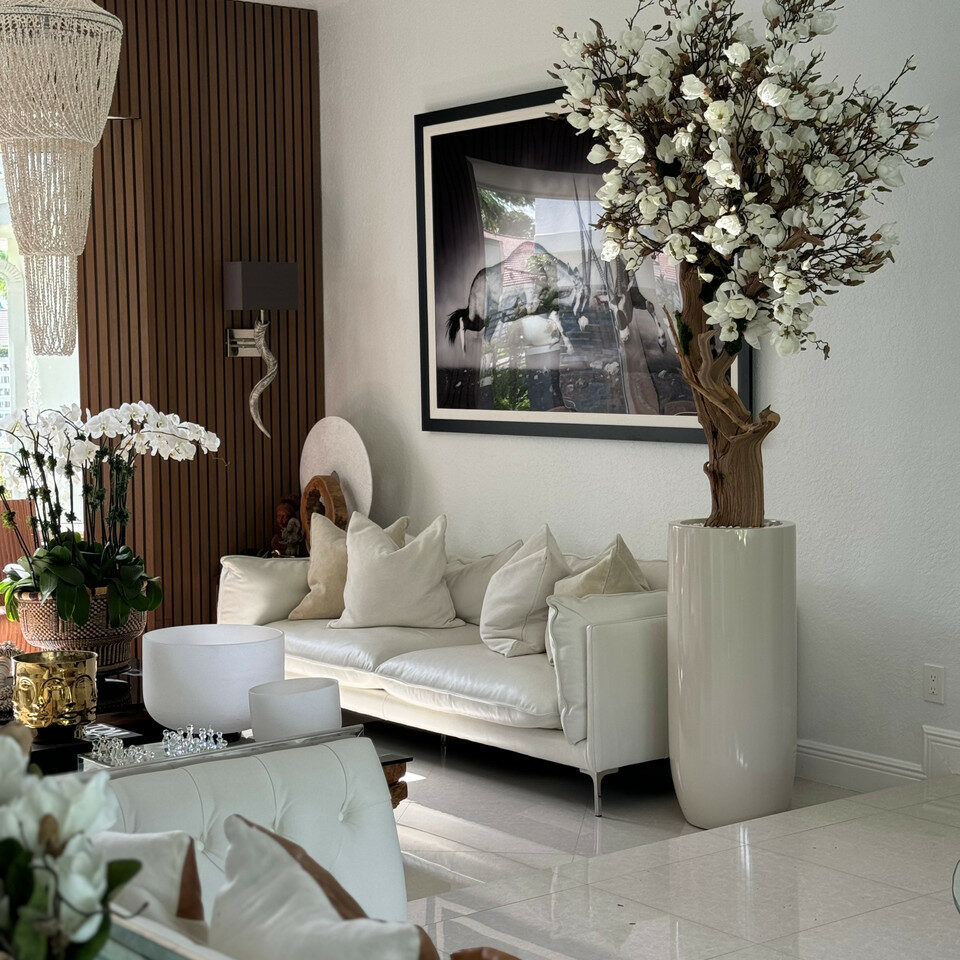 White Magnolia Tree in Pot St. Tropez Bright Beige