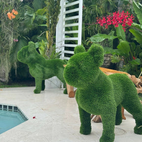 French Bulldog – Animal Shape Topiary (Artificial)