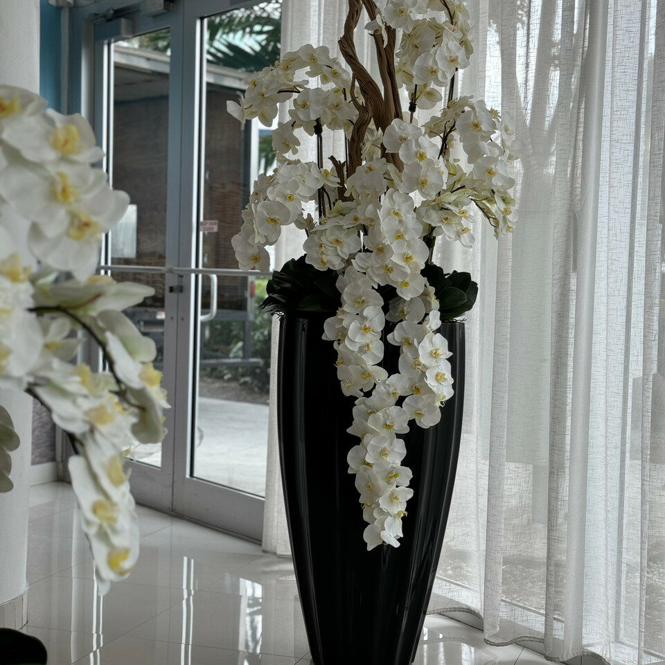 San Jose Vase in glossy black with hanging yellow orchids