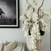 San Jose Vase in sandy Beige with white orchids in waterfall design