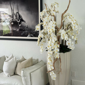 San Jose Beige Sand Vase with White Orchids in Cascade