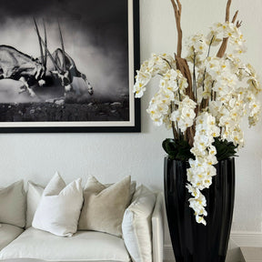 Shiny Black San Jose Vase with Cascading White Orchids