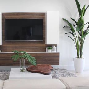 2.7 m Bird of Paradise Plant with Ben Planter in Glossy White