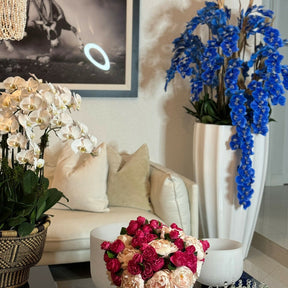 Alocasia "Red Prince" in XL Ben Plant Pot – Glossy White