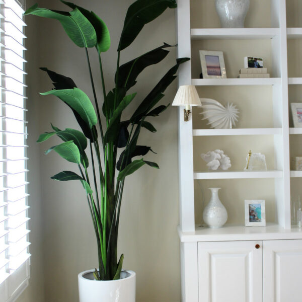 9-Foot Bird of Paradise with Shiny White Pot