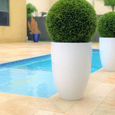 Topiary in Ben Planter – 51 cm Fiberglass