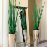 Large, Polished Stainless Steel Pot with Large Snake Grass Plant