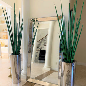 Large, Polished Stainless Steel Pot with Large Snake Grass Plant