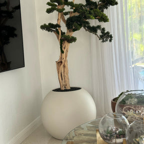 Bonsai Trail in Satin Beige Globe 30"