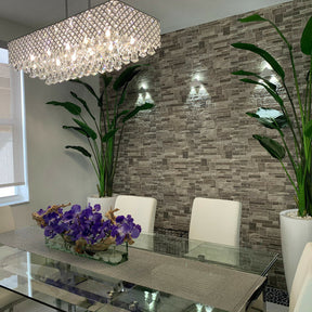 2.1 m Bird of Paradise Plant with Dax L Pot