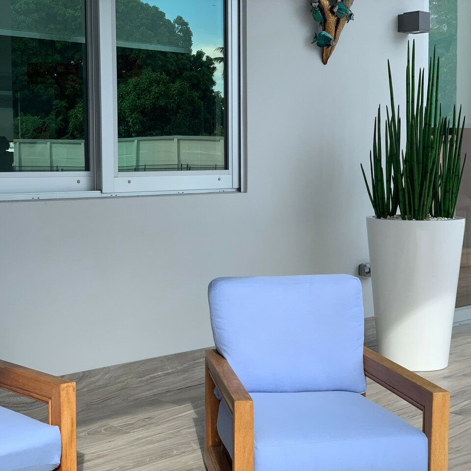 Snake Grass (1.63 m) with Belle L Planter