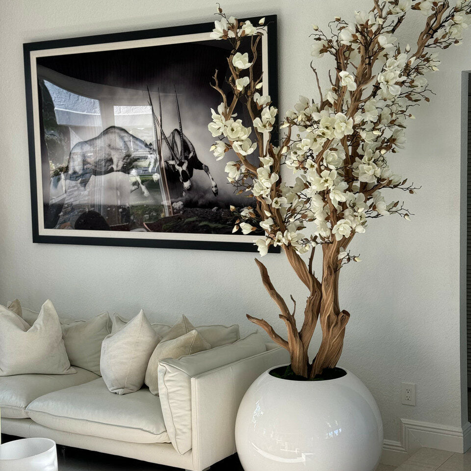White Magnolia Tree in 126 cm Shiny White Globe Pot