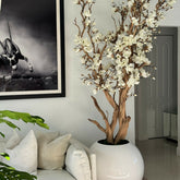 White Magnolia Tree in 126 cm Shiny White Globe Pot