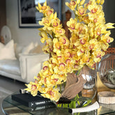Yellow Cymbidium Orchids in Moon Vase