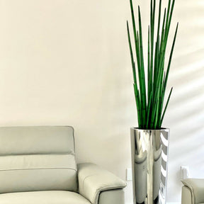 Large, Polished Stainless Steel Pot with Large Snake Grass Plant