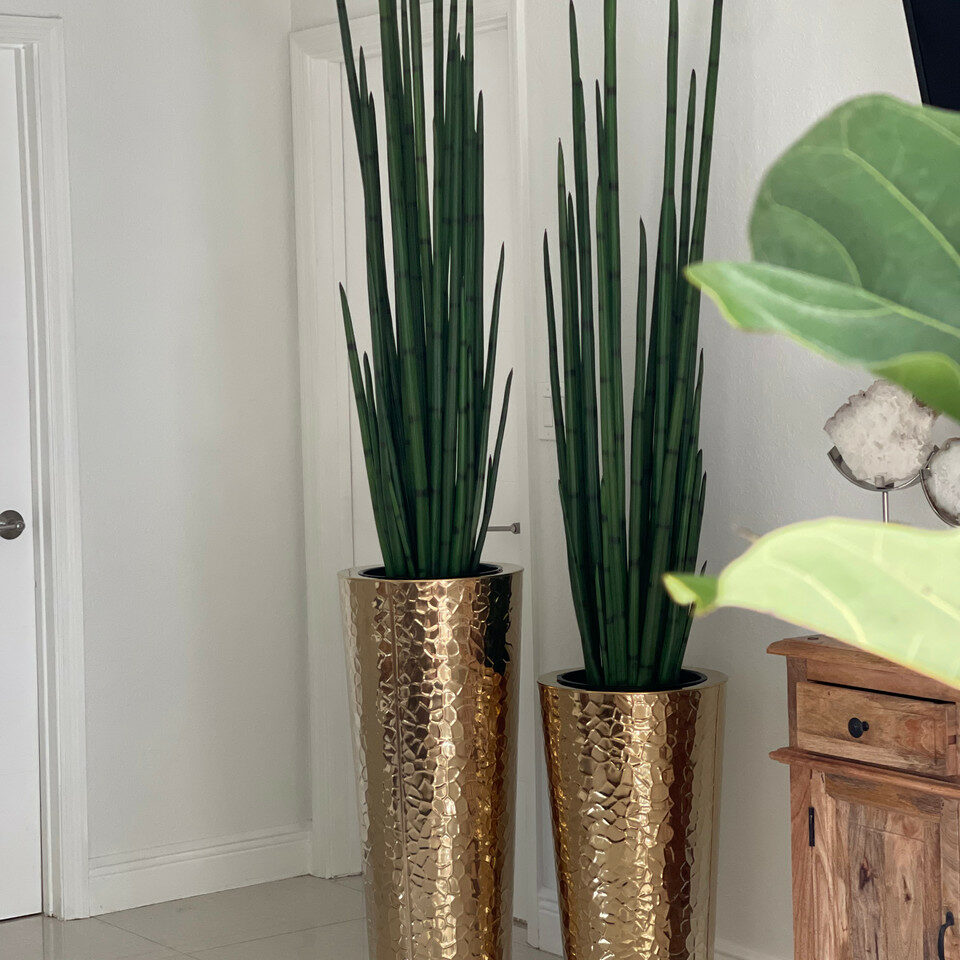 Gold Stainless Steel Cone Vase with Large Snake Grass Plant