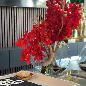 Red Cymbidium Orchids in Moon Planter
