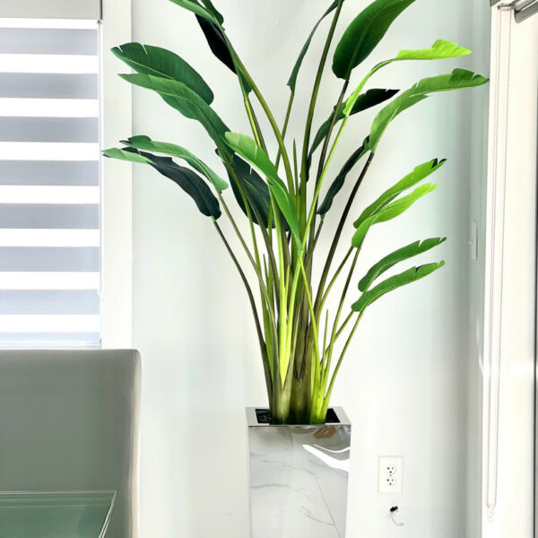 Medium stainless steel cube vase with Bird of Paradise (7′)