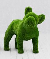French Bulldog – Animal Shape Topiary (Artificial)