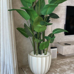 Santa Barbara Planter Pot in Matte Beige with Bird of Paradise Plant