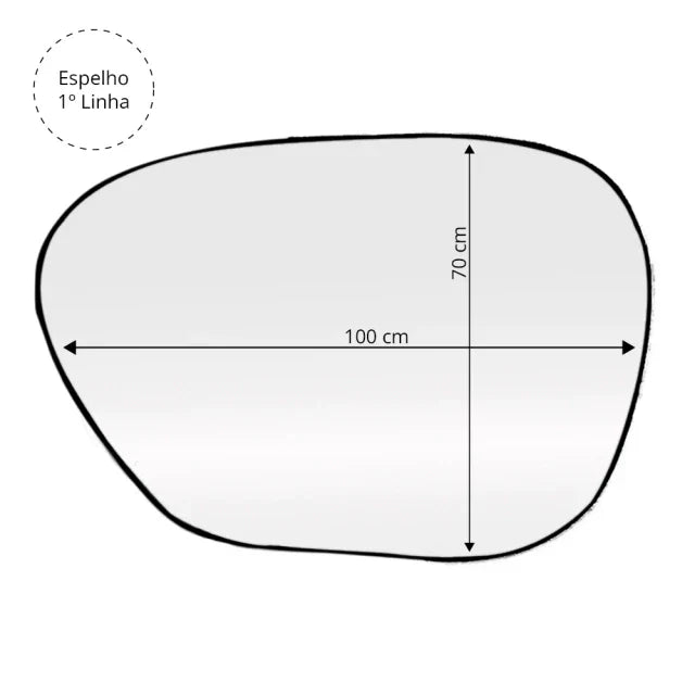 Rocha Mirror 100x70cm