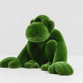 Monkey-Grass-Topiary